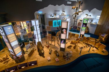 Szeged, Hungary. Interior of the Mora Ferenc Natural History and Ethnology Exhibits Museum
