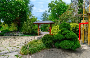 Beautiful trees and flowers in the Japanese garden in the Budapest Zoo in Hungary. Spring green landscape