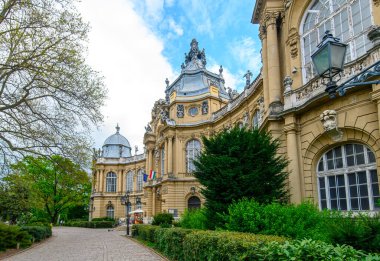 Vajdahunyad castle varosliget park, Budapeşte, Macaristan