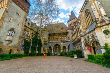 Vajdahunyad castle varosliget park, Budapeşte, Macaristan