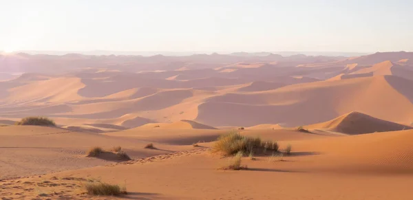 Панорама Сходу Сонця Пустелі Дун Ерг Чебі Пустелі Сахара Поблизу — стокове фото