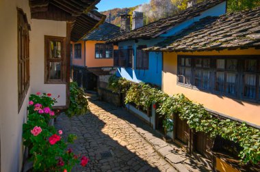 Bulgaristan 'ın Gabrovo kenti yakınlarındaki Mimari Kompleks Etar' daki (Etara) eski geleneksel Bulgar evi.
