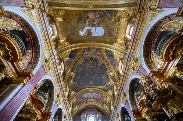 Вена Австрия Церковь Иезуитов Jesuitenkirche Известная Университетская Церковь University Church — стоковое фото