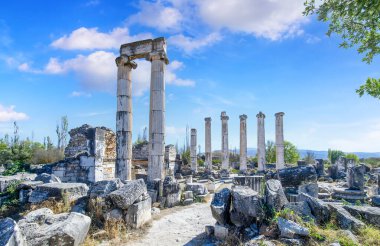Türkiye 'deki Afrodisias Antik Kenti' nin (Afrodisias) kalıntıları. Şehre Yunan aşk tanrıçası Afrodit 'in adı verildi.