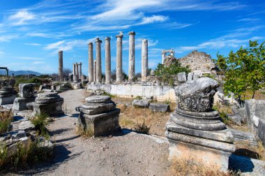 Türkiye 'deki Afrodisias Antik Kenti' nin (Afrodisias) kalıntıları. Şehre Yunan aşk tanrıçası Afrodit 'in adı verildi.