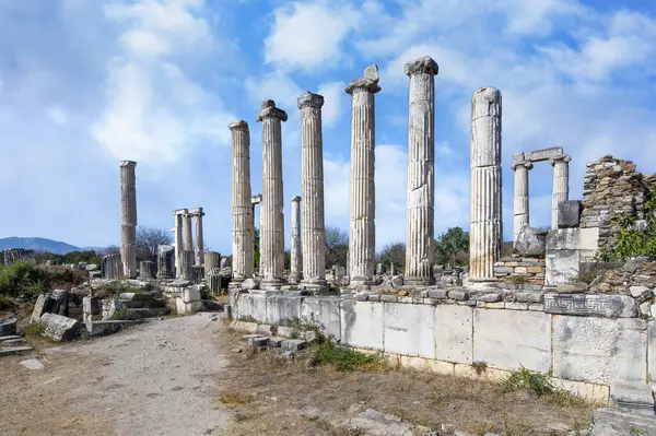 Türkiye 'deki Afrodisias Antik Kenti' nin (Afrodisias) kalıntıları. Şehre Yunan aşk tanrıçası Afrodit 'in adı verildi.