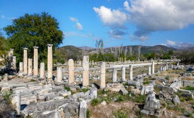Türkiye 'deki Afrodisias Antik Kenti' nin (Afrodisias) kalıntıları. Şehre Yunan aşk tanrıçası Afrodit 'in adı verildi.