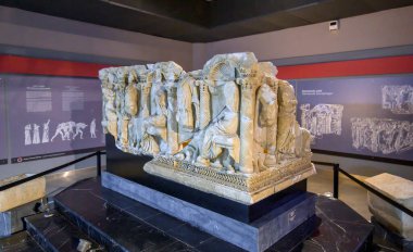 Aydın, Türkiye. Aydın Arkeoloji Müzesi. Müzede Helenistik, Roma, Bizans, Seljuk ve Osmanlı dönemlerinden heykeller, mezarlar, sütunlar ve taş oymalar yer alıyor.
