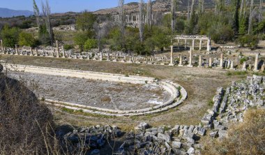 Türkiye 'deki Afrodisias Antik Kenti' nin (Afrodisias) kalıntıları. Şehre Yunan aşk tanrıçası Afrodit 'in adı verildi.