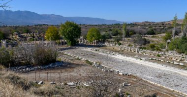 Türkiye 'deki Afrodisias Antik Kenti' nin (Afrodisias) kalıntıları. Şehre Yunan aşk tanrıçası Afrodit 'in adı verildi.