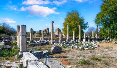 Türkiye 'deki Afrodisias Antik Kenti' nin (Afrodisias) kalıntıları. Şehre Yunan aşk tanrıçası Afrodit 'in adı verildi.