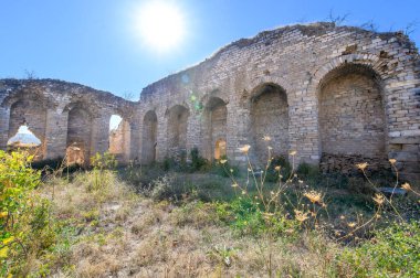 Türkiye 'deki Afrodisias Antik Kenti' nin (Afrodisias) kalıntıları. Şehre Yunan aşk tanrıçası Afrodit 'in adı verildi.