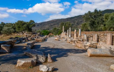 Aydn ilinin Sultanhisar ilçesine bağlı Nysa Antik Kenti. Antik Lydia 'da Maeander' da Nysa, önce bir Yunan şehri, sonra da bir Roma şehriydi..
