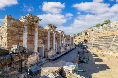 Aydın 'ın Sultanhisar ilçesine bağlı Nysa Antik Kenti. Antik Lydia 'da Maeander' da Nysa, önce bir Yunan şehri, sonra da bir Roma şehriydi. Amfi tiyatronun görüntüsü