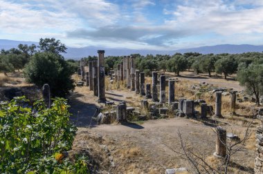 Aydn ilinin Sultanhisar ilçesine bağlı Nysa Antik Kenti. Antik Lydia 'da Maeander' da Nysa, önce bir Yunan şehri, sonra da bir Roma şehriydi..