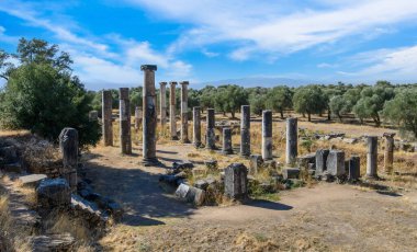 Nysa Ancient City in Sultanhisar district of Aydn Province of Turkey. Nysa on the Maeander in ancient Lydia, first was a greek city and later an roman city. clipart