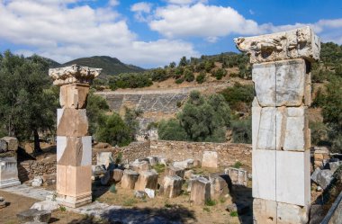 Aydn ilinin Sultanhisar ilçesine bağlı Nysa Antik Kenti. Antik Lydia 'da Maeander' da Nysa, önce bir Yunan şehri, sonra da bir Roma şehriydi..