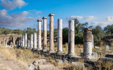 Aydn ilinin Sultanhisar ilçesine bağlı Nysa Antik Kenti. Antik Lydia 'da Maeander' da Nysa, önce bir Yunan şehri, sonra da bir Roma şehriydi..