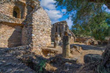 Aydn ilinin Sultanhisar ilçesine bağlı Nysa Antik Kenti. Antik Lydia 'da Maeander' da Nysa. Nysa Kütüphanesi.