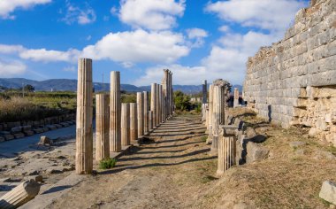 Türkiye 'de Antik Magnezya ve Maeandrum Kenti