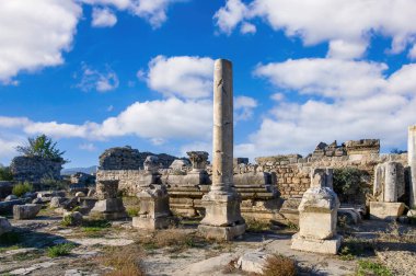 Türkiye 'de Antik Magnezya ve Maeandrum Kenti