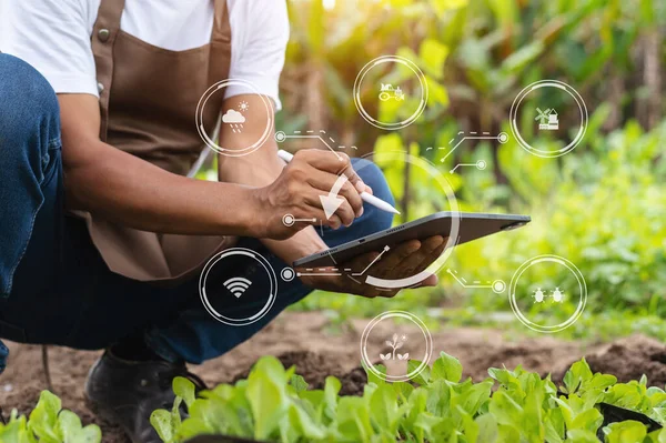 Agriculture technology, farmer man holding tablet to research agriculture problems analysis data, visual icons