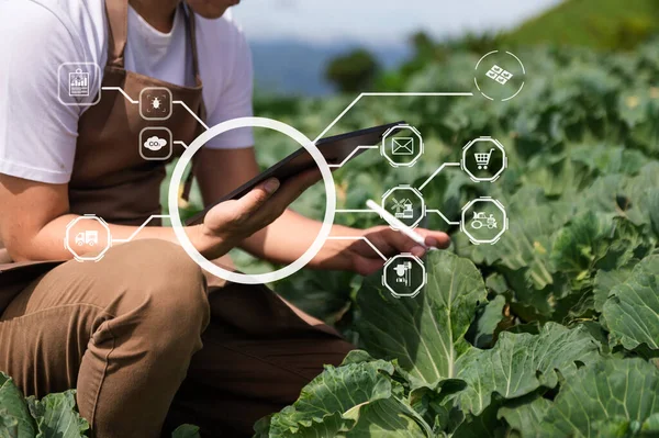 Agriculture technology. farmer man holding tablet to research agriculture problems. analysis data and visual icons. Smart farming