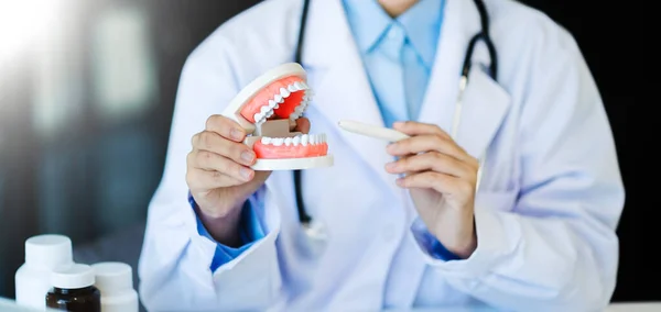Dentist Woman Holding Jaw Sample Teeth Model Professional Dental Clinic — Stock Photo, Image