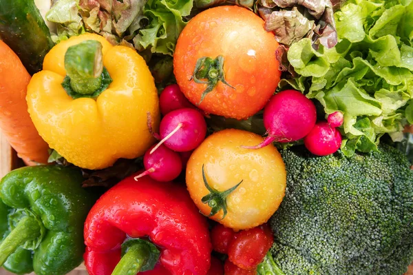 Krat Kayu Diisi Dengan Sayuran Organik Segar Ligh Matahari — Stok Foto