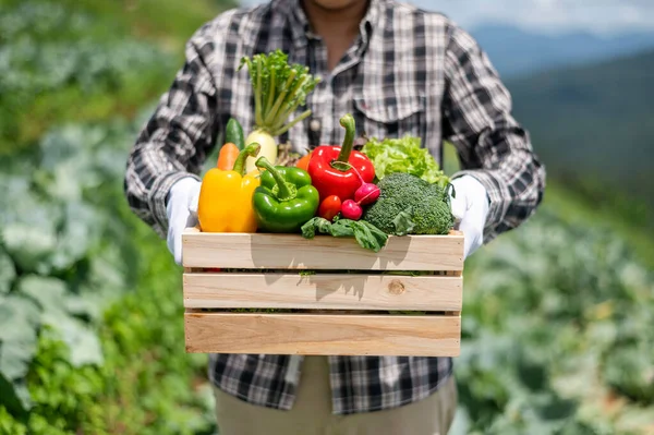 Αγρότης Κρατάει Ένα Ξύλινο Κουτί Γεμάτο Φρέσκα Ωμά Λαχανικά Καλάθι — Φωτογραφία Αρχείου