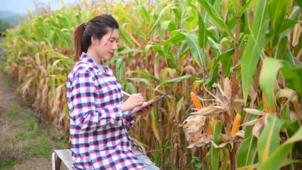 亚洲农民妇女观察有机玉米地 进行质量控制 使用数码平板电脑和书写 — 图库视频影像