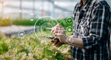 Büyüme süreci ve yeşil arka planda kimyasal formülle çiftlikte marul yetiştiren bir adam. Görsel simgeyle