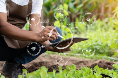 Smart farmer using application by smartphone concepts modern agricultural technology and visual icon.Smart farming