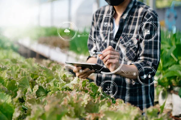 タブレットの概念近代的な農業技術と視覚的アイコンによるアプリケーションを使用してスマート農家スマート農業 — ストック写真