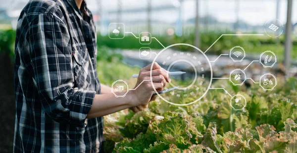 stock image Man hands gardening lettuce in farm  with growth process and chemical formula on green background. With visual icon