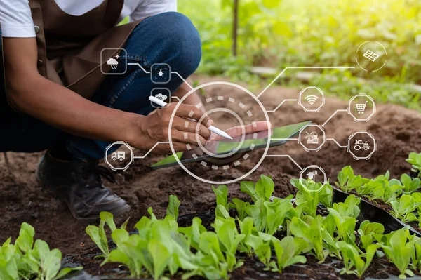 Smart farmer using application by smartphone concepts modern agricultural technology and visual icon.Smart farming