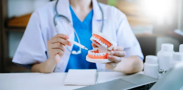 Concentrated dentist sitting at table with jaw samples tooth model and working with tablet and laptop in dental office professional dental clinic. Medical doctor