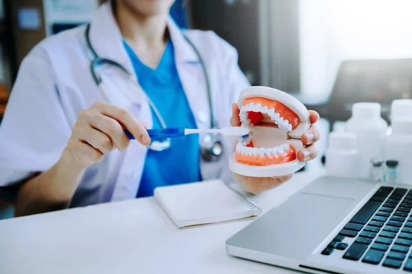 Dentist sitting at table with jaw samples tooth model and working with tablet and laptop in dental office professional dental clinic. Medical doctor working