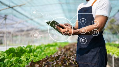 Asian farmer inspects plants with a digital tablet In a greenhouse plantation. Smart farming in sunlight