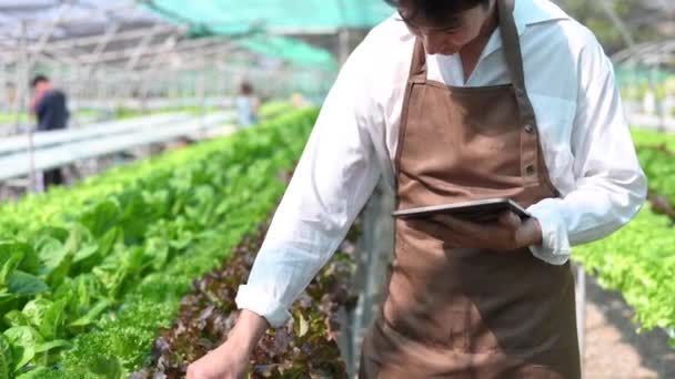 Фермер Осматривает Растения Цифровой Плантацией Оранжерее — стоковое видео