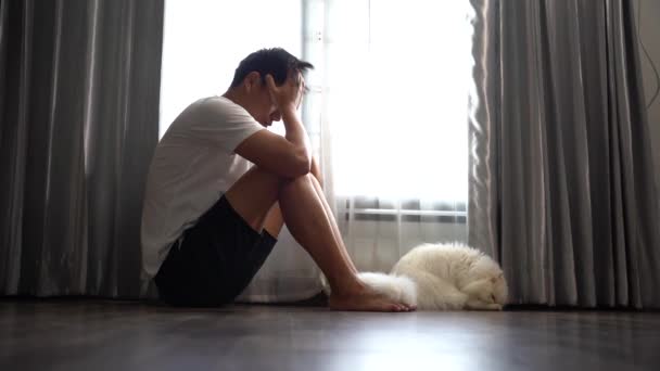 Hombre Sienta Con Depresión Ansiedad Gato — Vídeos de Stock