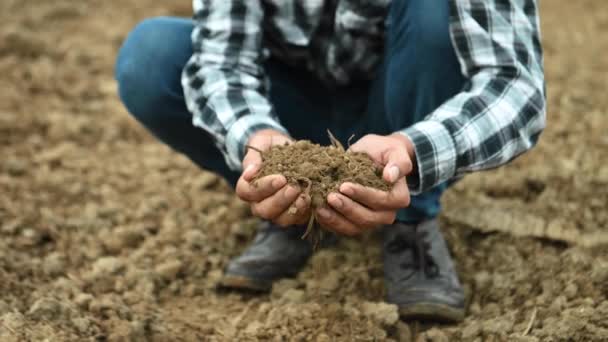 Mãos Agricultor Inspeccionar Saúde Solo Antes Plantio Exploração Biológica — Vídeo de Stock