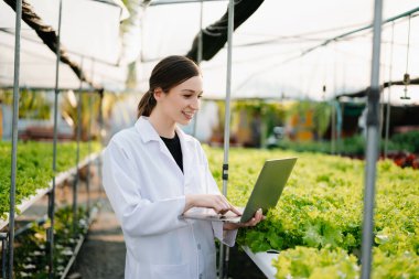 Researcher in white uniform are checking with ph strips in hydroponic farm and pH level scale graphic, science laboratory greenhouse concept.  clipart