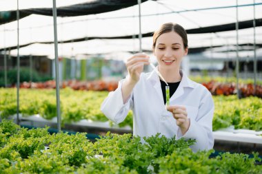 Beyaz üniformalı araştırmacılar, hidrofonik çiftlikteki ph şeritlerini ve pH seviyesindeki grafikleri ve sera konseptini kontrol ediyorlar.. 