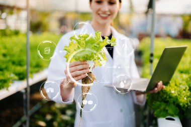 Beyaz üniformalı araştırmacılar, hidrofonik çiftlikteki ph şeritlerini ve pH seviyesindeki grafikleri ve sera konseptini kontrol ediyorlar.. 