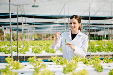 Beyaz üniformalı araştırmacılar, hidrofonik çiftlikteki ph şeritlerini ve pH seviyesindeki grafikleri ve sera konseptini kontrol ediyorlar.. 