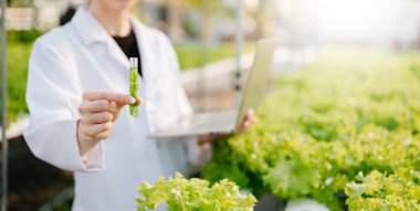 Beyaz üniformalı araştırmacılar, hidrofonik çiftlikteki ph şeritlerini ve pH seviyesindeki grafikleri ve sera konseptini kontrol ediyorlar.. 