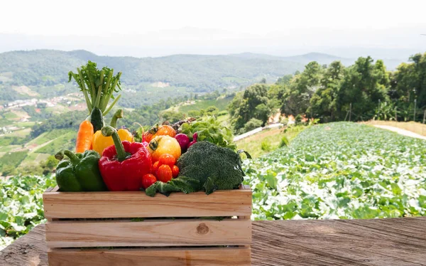 Trälåda Fylld Med Färska Ekologiska Grönsaker — Stockfoto
