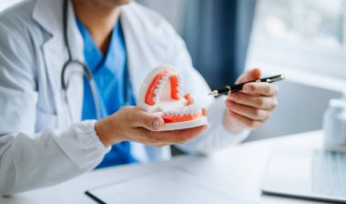 Diş hekimi, çene örneği diş modeliyle masada oturuyor ve dişçi muayenehanesinde dizüstü bilgisayarla çalışıyor.. 