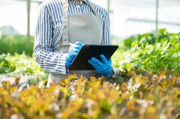 Farmer Woman Using Digital Tablet Computer Field Technology Application Agricultural — Stock fotografie
